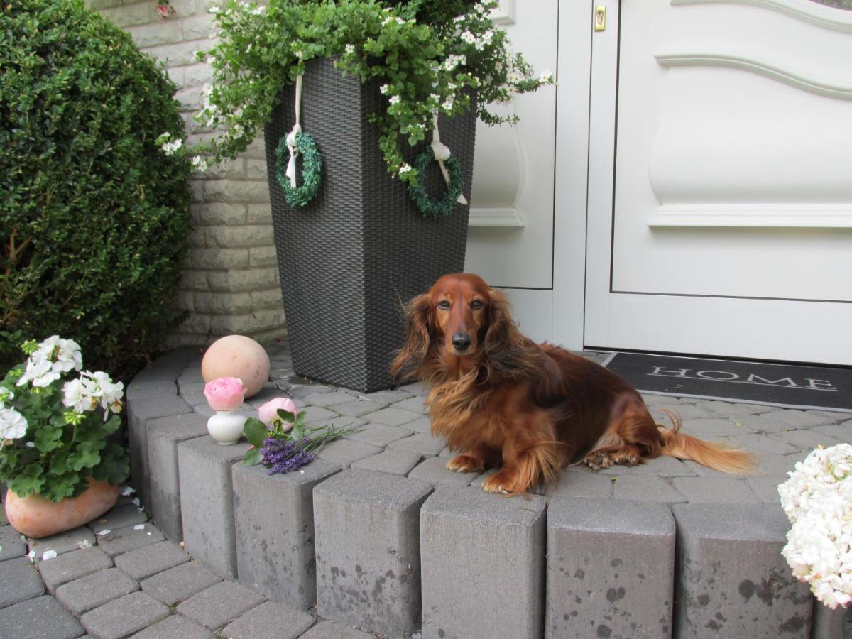Pension Roseneck Wolfshagen  ภายนอก รูปภาพ